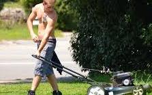 lawn mower